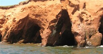 What Do Has Done During 2022 Summer Vacation