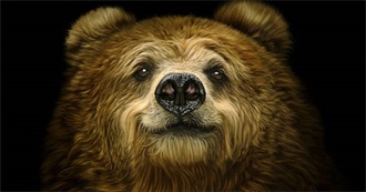 Movies With Bears in Them