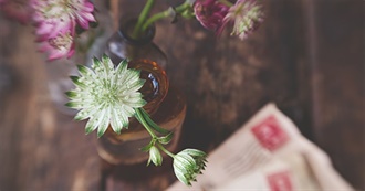 Under-Clouds-And-Stars&#39;s Top 75 Movies