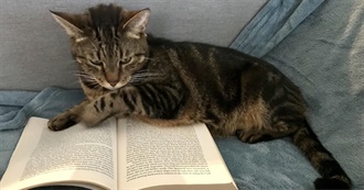 100 Classics That Spark No Interest (For Now)