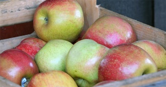 What Ray Ate - Day 527