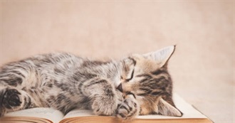 Half a Year of Kit&#39;s Reading