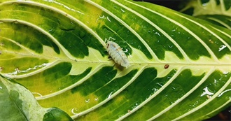 Birch&#39;s Favourite Reads