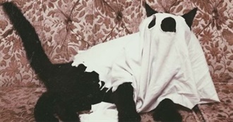 Kikis 80 Books &lt;3