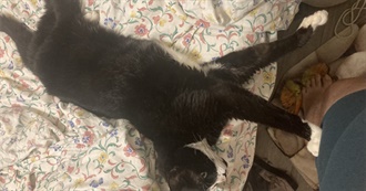 Dani&#39;s Chewed Up Library