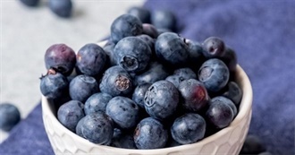 What a Sloth Ate - 12