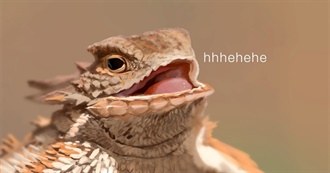 Ryn&#39;s Movie List