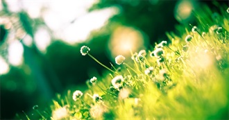 Cuzie&#39;s Fave Dramas