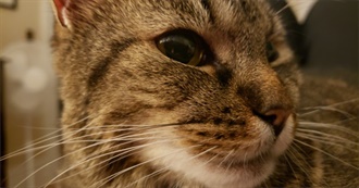 CH&#39;s Revised Bucket List