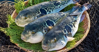 World&#39;s Most Dangerous Foods