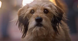 Films of 1974 That This Guy Has Seen