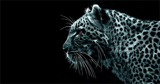 Movies You Should Watch Before Turning 22