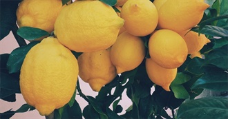 When Life Gives You Lemons &#127819;