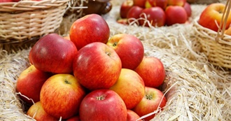 Ray&#39;s Day of Food Pt 128