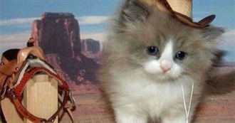 Anna&#39;s Favorite Books &lt;3