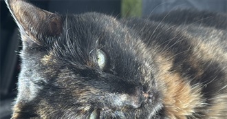 Alex&#39;s Fav Movies