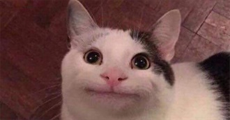 Macy&#39;s Top Films Babey