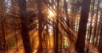 Philosophical Texts to Read...