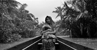 The Best Hidden Gem Movies of the Year 2014, as Chosen by the Audience