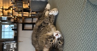 Abbey&#39;s Top 100 Movies of All Time