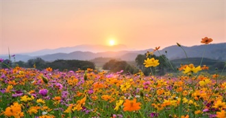 Cottagecore Book List