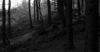 Dahlia&#39;s Top Horror Films Part 1