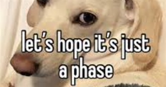 Every Movie I&#39;ve Seen Since January 2024