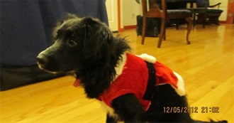 How Many Disney Movies Have You Seen?