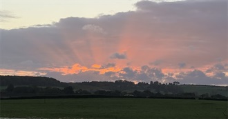 Forty French Language Films