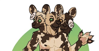 This Dogs Top 100 Movies