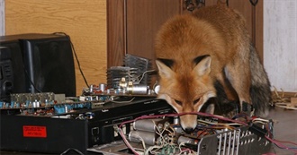 Grimdarkfandango&#39;s Movies by Memory