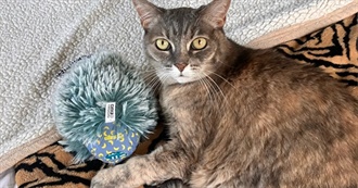 Kate&#39;s Favourites