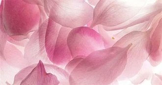 Jess&#39;s Fave Albums