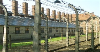 100 Critically Acclaimed Films From 2024 (And Late 2023)