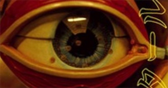 Experimental Movies 143