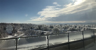 Movies Gab Watched in 2019