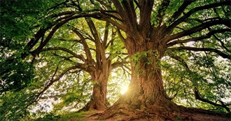 Titles That Grow on You