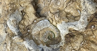 The Top 100 Books From Raven&#39;s Childhood That Made Them Who They Are Today