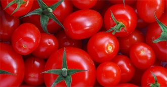 Tomatoes Not So Rotten (Best &quot;Bad Movies&quot;)
