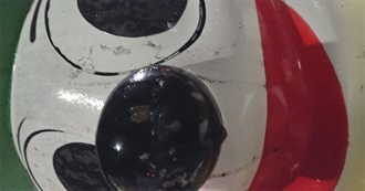 Taylor&#39;s Moovies