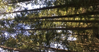 Top 100 Movies for Kelly Lol