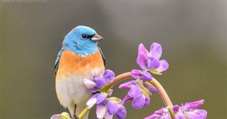 Books Read, April, May, June 2025