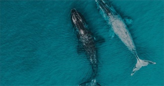 Angelina&#39;s Destinations Wishlist