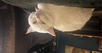 Victor&#39;s Favourite Movies