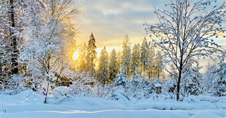 Beyond the Bookends Winter Challenge 2025