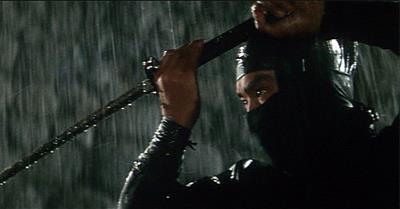 50 Ninja Movies You Should See Before Getting Blinded by Throwing Stars